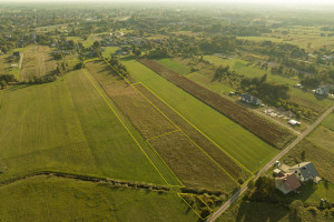 Działka na sprzedaż 15000m2 wołomiński Tłuszcz Postoliska - zdjęcie 3