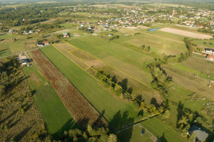 Działka na sprzedaż 15000m2 wołomiński Tłuszcz Postoliska - zdjęcie 2