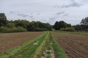 Działka na sprzedaż 5600m2 myślenicki Raciechowice Gruszów - zdjęcie 1