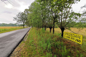 Działka na sprzedaż 9600m2 oleśnicki Twardogóra Łazisko - zdjęcie 1