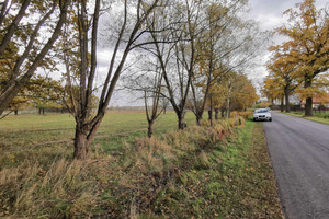 Działka na sprzedaż 2200m2 oleśnicki Twardogóra Łazisko - zdjęcie 1