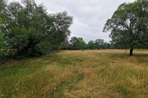 Działka na sprzedaż 2500m2 oleśnicki Twardogóra Łazisko - zdjęcie 3