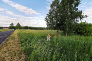 Działka na sprzedaż 15000m2 oleśnicki Dobroszyce Miodary - zdjęcie 1