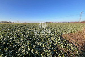 Działka na sprzedaż 31900m2 grodziski Baranów - zdjęcie 1