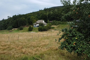 Działka na sprzedaż gorlicki Sękowa Małastów - zdjęcie 1