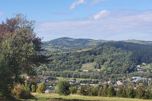 Komercyjne na sprzedaż 7500m2 gorlicki Gorlice Ropica Polska - zdjęcie 3