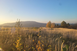 Działka na sprzedaż gorlicki Gorlice Szymbark - zdjęcie 1