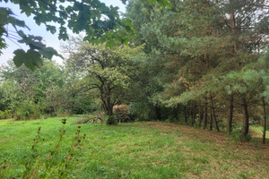 Działka na sprzedaż gorlicki Łużna Wola Łużańska - zdjęcie 1