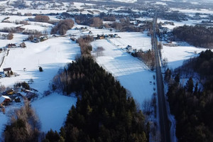 Komercyjne na sprzedaż 10013m2 gorlicki Moszczenica - zdjęcie 2