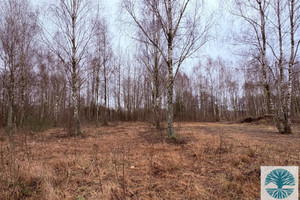 Działka na sprzedaż 1085m2 miński Halinów Budziska Ptasia - zdjęcie 2