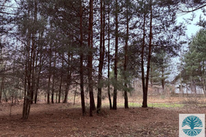 Działka na sprzedaż 1085m2 miński Halinów Budziska Ptasia - zdjęcie 3