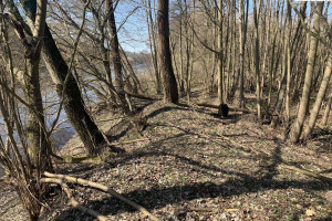 Działka na sprzedaż 4200m2 obornicki Oborniki Bąblin - zdjęcie 1