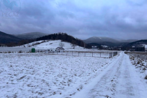 Działka na sprzedaż 981m2 karkonoski Podgórzyn Ściegny Ściegny - zdjęcie 2