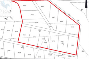 Działka na sprzedaż 47192m2 poznański Dopiewo Zborowo Zborowo, Niepruszewo działka przy jeziorze i lesie !! - zdjęcie 2