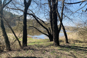 Działka na sprzedaż 4200m2 obornicki Oborniki Bąblin - zdjęcie 2