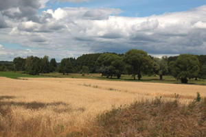 Działka na sprzedaż 6170m2 chodzieski Chodzież Milcz Holna / Zajęcza - zdjęcie 2