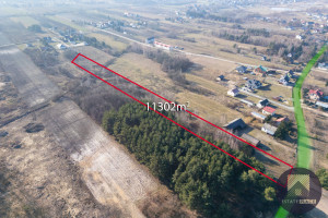 Działka na sprzedaż 11303m2 miński Halinów Krzewina - zdjęcie 1