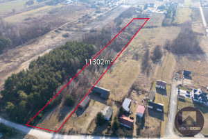 Działka na sprzedaż 11303m2 miński Halinów Krzewina - zdjęcie 3