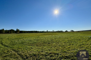 Działka na sprzedaż 177000m2 przeworski Sieniawa - zdjęcie 1