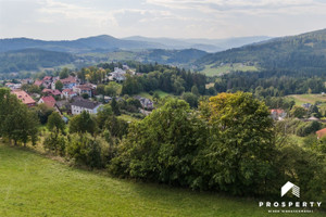 Działka na sprzedaż 2500m2 cieszyński Istebna - zdjęcie 3