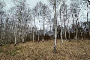 Działka na sprzedaż mikołowski Mikołów Podgórna - zdjęcie 3