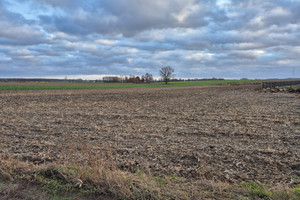 Działka na sprzedaż 1200m2 grodziski Rakoniewice - zdjęcie 4