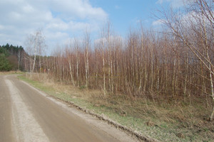 Działka na sprzedaż 1000m2 bydgoski Dobrcz Nekla - zdjęcie 2