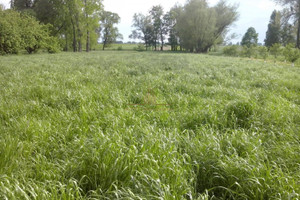 Działka na sprzedaż 3000m2 nakielski Szubin Rynarzewo - zdjęcie 1