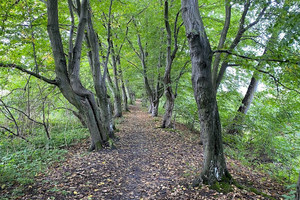 Działka na sprzedaż 1053m2 warszawski zachodni Leszno Fabryczna - zdjęcie 3