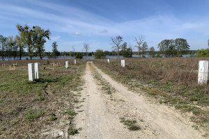 Działka na sprzedaż 3653m2 poznański Kórnik - zdjęcie 4