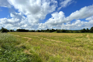 Działka na sprzedaż 4300m2 wejherowski Gniewino - zdjęcie 3