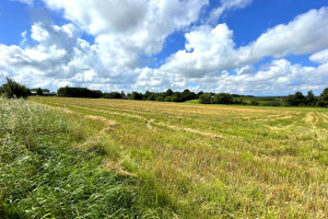 Działka na sprzedaż 4300m2 wejherowski Gniewino - zdjęcie 1