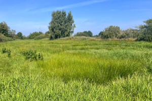 Działka na sprzedaż 3413m2 pucki Puck - zdjęcie 1