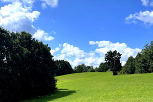 Działka na sprzedaż 81500m2 kartuski Chmielno Nad Stawem - zdjęcie 3