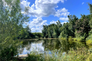 Działka na sprzedaż 81500m2 kartuski Chmielno Nad Stawem - zdjęcie 1