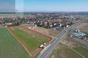 Działka na sprzedaż 14200m2 lubański Lubań - zdjęcie 1