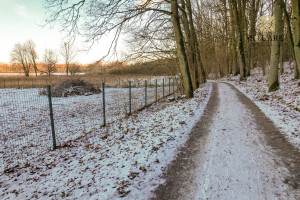 Działka na sprzedaż Warszawa Wilanów Powsin Opieńki - zdjęcie 3