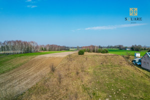 Działka na sprzedaż 7001m2 płoński Joniec Krajęczyn - zdjęcie 2