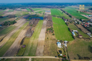 Działka na sprzedaż 7001m2 płoński Joniec Krajęczyn - zdjęcie 3