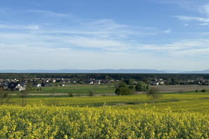 Mieszkanie na sprzedaż 98m2 mikołowski Mikołów - zdjęcie 1