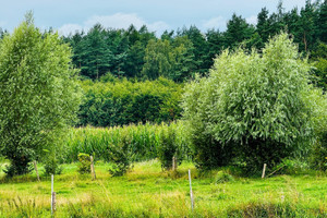 Działka na sprzedaż 1472m2 gdański Kolbudy Otomin - zdjęcie 2