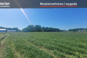 Działka na sprzedaż 3137m2 wejherowski Szemud Bojano - zdjęcie 1