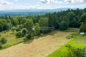 Działka na sprzedaż 3784m2 bielski Buczkowice - zdjęcie 2