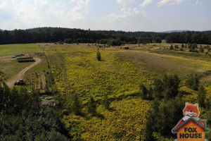 Działka na sprzedaż 1403m2 lubański Olszyna Olszyna Dolna - zdjęcie 2