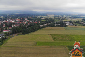 Działka na sprzedaż lwówecki Mirsk - zdjęcie 3