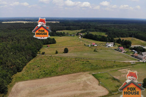 Działka na sprzedaż 10076m2 bolesławiecki Gromadka Osła - zdjęcie 1