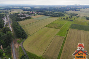 Działka na sprzedaż lwówecki Mirsk - zdjęcie 2