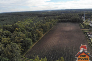 Działka na sprzedaż 9200m2 bolesławiecki Gromadka C. K. Norwida - zdjęcie 2