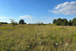 Działka na sprzedaż 1173m2 krośnieński Gubin Jaromirowice - zdjęcie 1