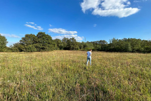 Działka na sprzedaż 1173m2 krośnieński Gubin Jaromirowice - zdjęcie 3